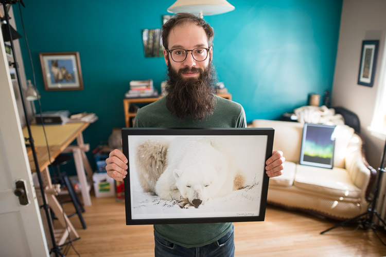 Framed Polar Bear Print - Portrait of David Quiring