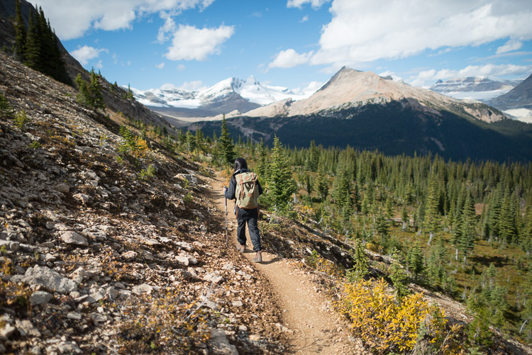 Female hiker in the Canadian Rocky Mountains