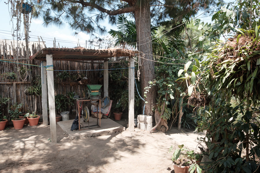The yard, back at Mercedes’ home at the foot of the volcano.