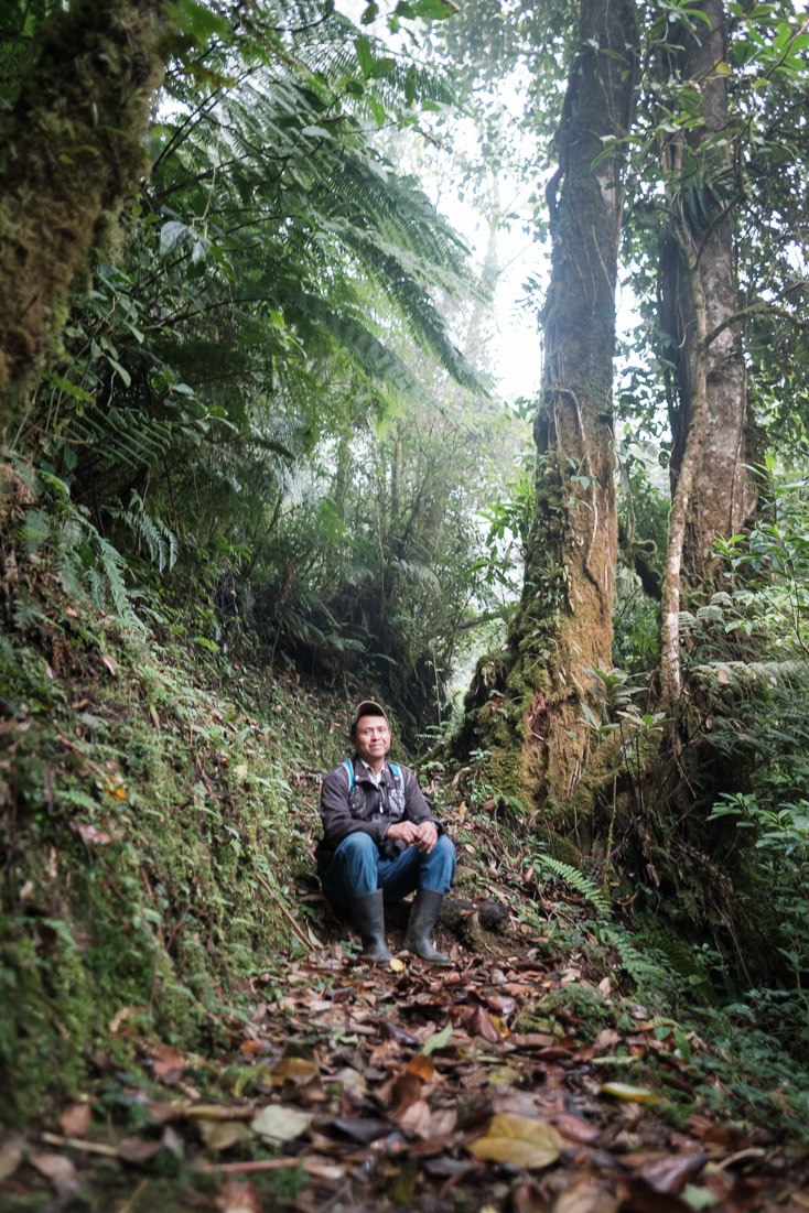 Back in the cloud forest with Rogelio.