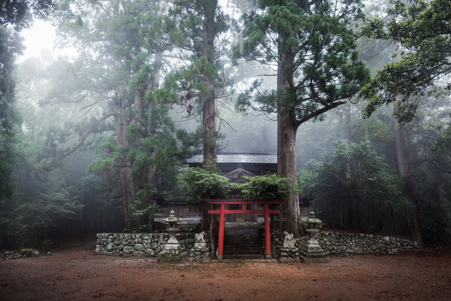 …but its roots spread wide to shrines that dot the countryside. Misty mountain abodes such as this see very few visitors each year, yet they continue to be cared for by local townships - never forgotten. They are also islands of old growth amidst second growth replanted after cyclic forestry has moved through the valleys.
