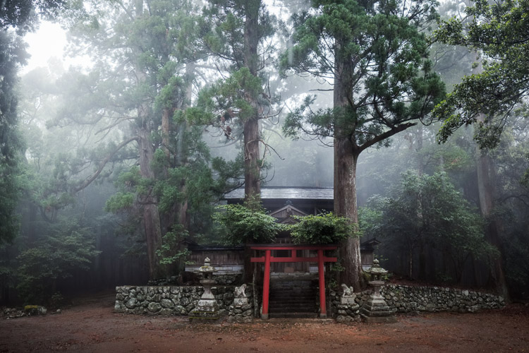 …but its roots spread wide to shrines that dot the countryside. Misty mountain abodes such as this see very few visitors each year, yet they continue to be cared for by local townships - never forgotten. They are also islands of old growth amidst second growth replanted after cyclic forestry has moved through the valleys.