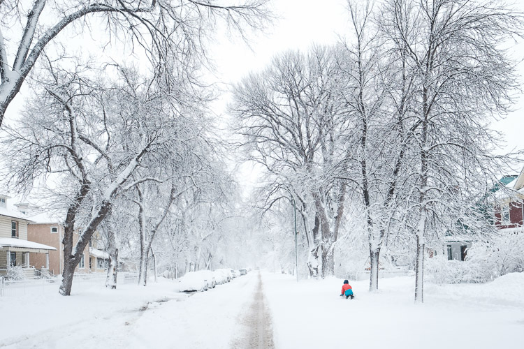 A child plays on the snowy streetside, rolling a large snowball that’s sure to be the base of a memorable snowman.