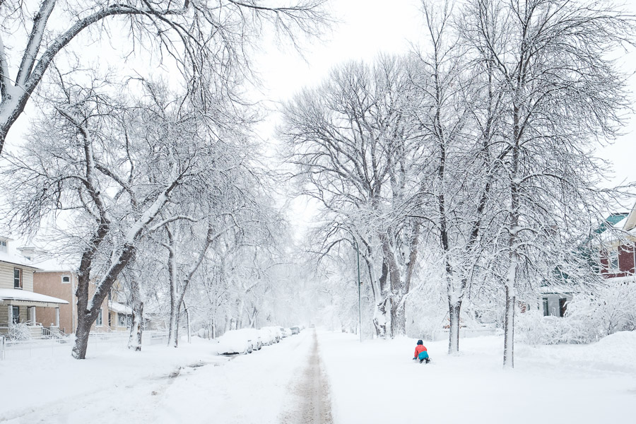 A child plays on the snowy streetside, rolling a large snowball that’s sure to be the base of a memorable snowman.
