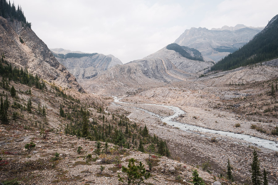 A braided glacial stream winding through a vast rocky valley of scoured stone at the end of the Yoho Glacier trail