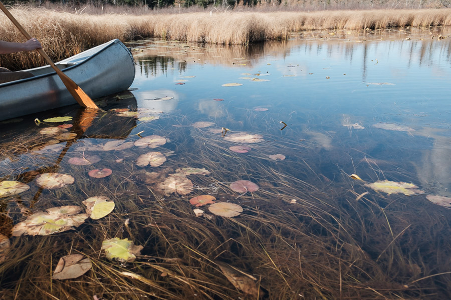 A canoe cuts through autumn reflections, forging a path forward beyond the road’s end.Context: A moment from one of many close-to-home adventures in Manitoba. –link forthcoming–